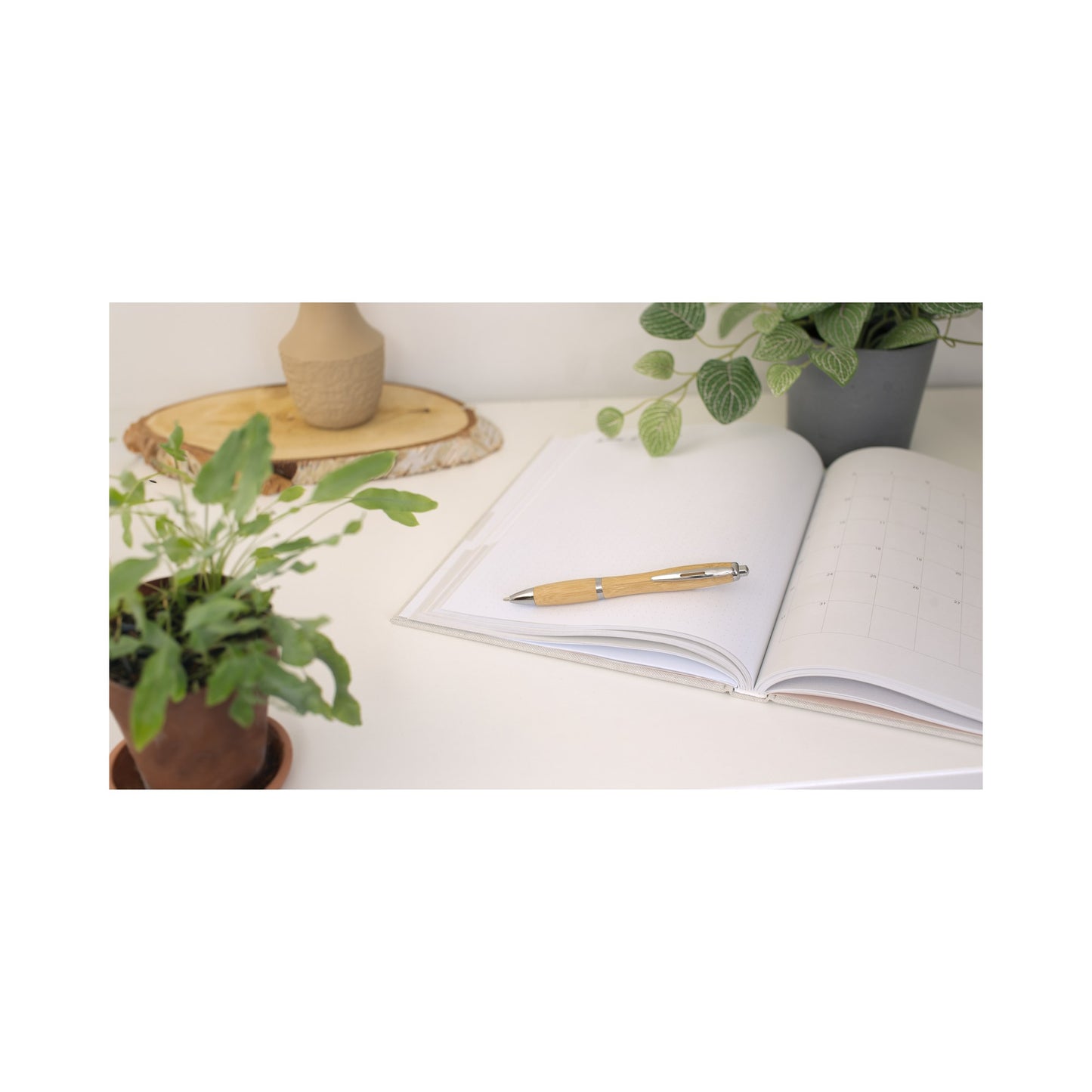 Bamboo ballpen