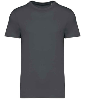 Iron Grey