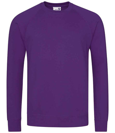 AWDis Academy Senior Raglan Sweatshirt - Purple