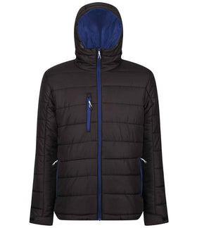 BlackNew Royal Blue